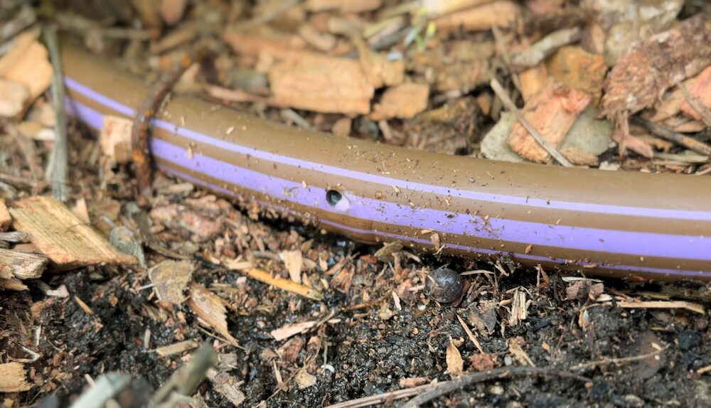 Netafim graywater drip tubing