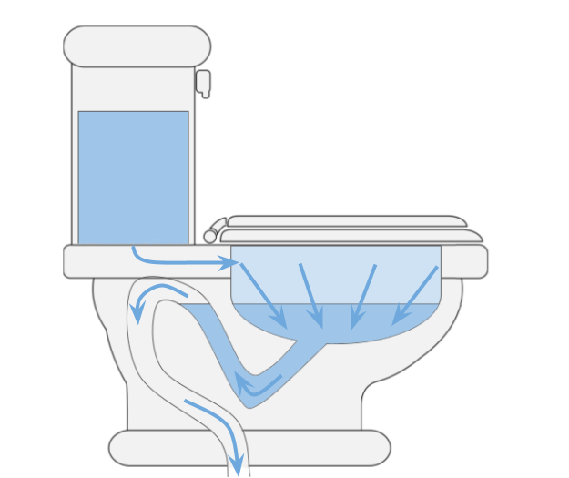 toilet cross section showing water flow path